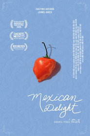 Mexican Delight