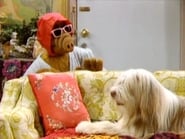 Alf season 2 episode 19