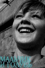 The Boy and the Pigeon Poster