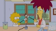 Les Simpson season 25 episode 13