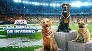 Puppy Bowl Presents: The Winter Games wallpaper 