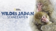 Destination Wild: Les macaques japonais wallpaper 