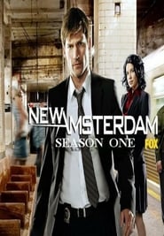 Serie streaming | voir New Amsterdam en streaming | HD-serie