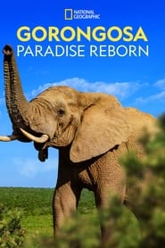 Gorongosa: Paradise Reborn 2022 Soap2Day