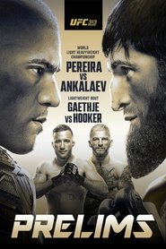 Poster of UFC 313: Pereira vs. Ankalaev image size 1148x1723