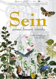 Sein