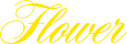 Logo of Flower image size 1109x388