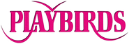 Logo of The Playbirds image size 1153x396
