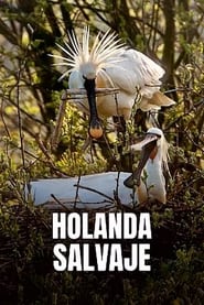 La Hollande sauvage