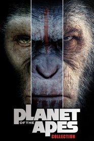 Poster image size 2000x3000