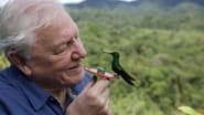 La vie en couleurs avec David Attenborough  