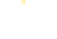 Logo of When Sharks Attack image size 1586x1079