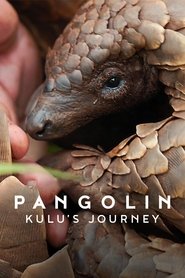 Pangolin: Kulu's Journey Poster