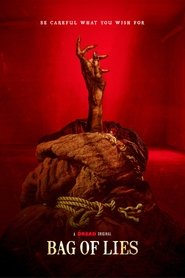 Poster of Bag of Lies image size 2000x3000