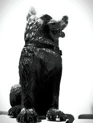 poster The Dog of Sarandi Alley