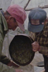 Wild Rice poster
