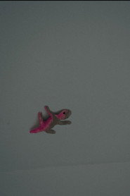 Le Lézard