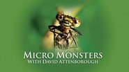 Backdrop of Micro Monsters with David Attenborough image size 3840x2160