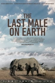 The Last Male on Earth