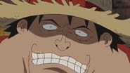 One Piece season 13 episode 517