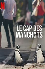 serie streaming - Le Cap des manchots streaming