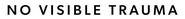 Logo of No Visible Trauma image size 960x100