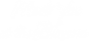 Logo of Meet You at the Blossom image size 480x220