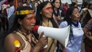 Amazonie : C'est la forêt qu'on assassine wallpaper 