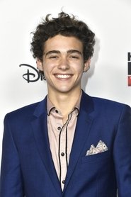 Photo of Joshua Bassett image size 680x1020