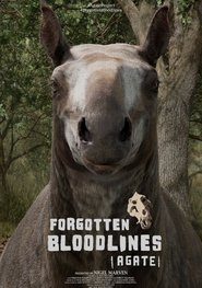 poster Forgotten Bloodlines: Agate