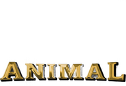 Logo of Animal image size 1493x1015