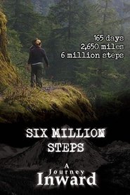Poster of Six Million Steps: A Journey Inward image size 666x1000