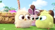 An Easter Message from the Hatchlings of the Angry Birds Movie wallpaper 