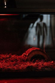 poster Morning Deliveries (Milkman #1)