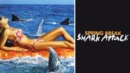 Backdrop of Spring Break Shark Attack image size 1920x1080