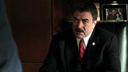 Blue Bloods season 2 episode 15