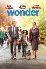 Poster of Wonder image size 667x1000
