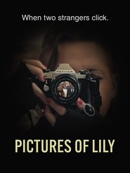 poster Pictures of Lily
