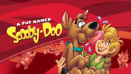 Scooby-Doo: A Pup Named Scooby-Doo  