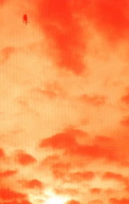 poster Adam, Eve and that's it