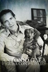 poster Antonio Gala: figura con paisajes