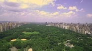 Olmsted and America's Urban Parks wallpaper 