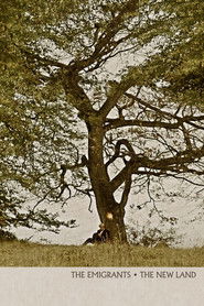 Poster image size 1600x2400