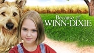 Backdrop of Because of Winn-Dixie image size 3840x2160