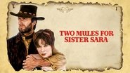 Backdrop of Two Mules for Sister Sara image size 1280x720