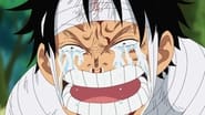 One Piece season 13 episode 491