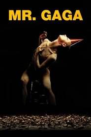 poster Mr. Gaga