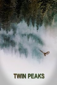 TWIN PEAKS