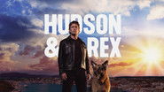 Backdrop of Hudson & Rex image size 3840x2160