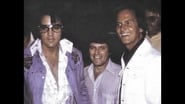 Elvis & Pat Boone Rockin' Rivals wallpaper 